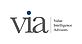 Logo: Value Intelligence Advisors GmbH